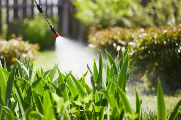 24/7 Emergency Termite Control experts in Sunset Hills, MO