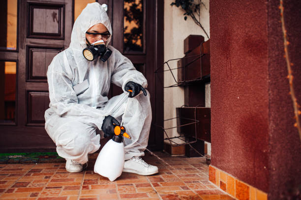 Reliable Termite Control contractor in Sunset Hills, MO by Nex Pest Control